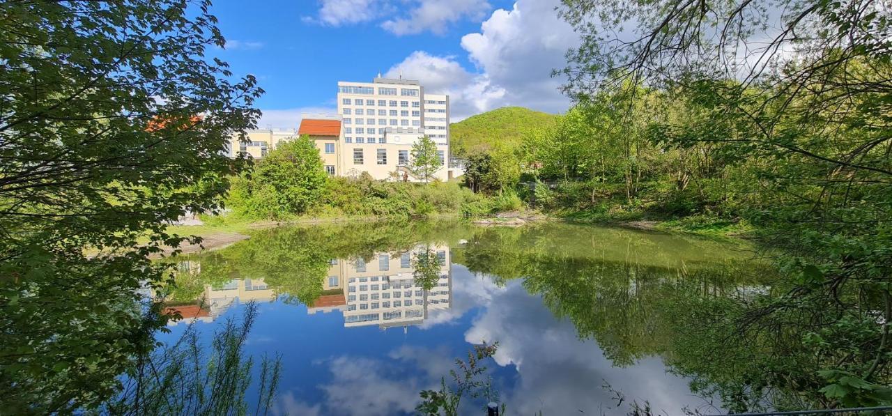 Hasseroeder Burghotel Wernigerode Εξωτερικό φωτογραφία